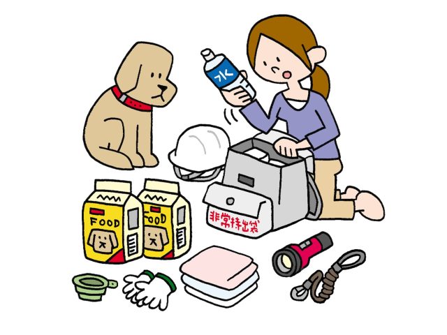 防災備蓄グッズの整備